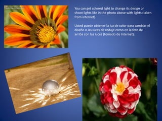 You can get colored light to change its design or
shoot lights like in the photo above with lights (taken
from internet).
Usted puede obtener la luz de color para cambiar el
diseño o las luces de rodaje como en la foto de
arriba con las luces (tomado de Internet).
 