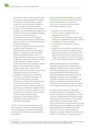 24 E V A L U A C I Ó N D E L IMPA C T O AMB I E N TA L 
suministro de servicios del ecosistema como 
el aire, agua, suelos y paisajes. Por lo tanto 
los mecanismos de planificación, gestión, 
utilización y monitoreo deben adoptarse a 
fin de fomentar los impactos positivos. 
• Principio 10: Conservación de la diversidad 
biológica. Los planificadores y encargados de 
la gestión de los recursos plantados deberían 
incorporar el mantenimiento y la 
conservación de la diversidad ecológica 
como parte fundamental en su planificación, 
gestión, utilización y monitoreo del desarrollo 
de bosques plantados. 
• Principio 11: Mantenimiento de la sanidad 
y productividad del bosque. Los 
elaboradores de políticas, planificadores, 
gestores, científicos y académicos deben 
trabajar conjuntamente para reducir el 
riesgo ambiental, la incidencia y el impacto 
de agentes perjudiciales abióticos y bióticos 
y para mantener y mejorar la salud y 
productividad del bosque plantado. Además 
deben aunar esfuerzos para conseguir 
políticas, leyes, planes, prácticas de 
gestión, sistemas de monitoreo, opciones de 
respuestas, educación, formación e 
investigación adecuados y consistentes. 
• Principio 12: Ordenación de paisaje. En 
vista de que los bosques plantados 
interactúan y afectan otros usos de la tierra, 
los medios de subsistencia y el medio 
ambiente, habría que adoptar enfoques de 
planificación y ordenación integrados dentro 
de un paisaje o cuenca hidrográfica a fin de 
asegurar que los impactos corriente arriba y 
corriente abajo sean planificados, 
manejados y monitoreados dentro de 
estándares sociales, económicos y 
ambientales aceptables. 
La FAO no financiará el desmonte de tierras 
a gran escala, a menos que esté relacionado 
con una operación de emergencia aprobada 
por las agencias donantes y por los gobiernos 
destinatarios. 
• Gestión de los recursos naturales. La gestión 
sostenible de los recursos naturales requiere 
que se preste atención a una serie de 
convenciones y acuerdos internacionales 
pertinentes, y deberían incluir: 
• la protección de la biodiversidad; 
• la lucha contra la desertificación y la 
degradación de la tierra; 
• el tratamiento de los desafíos ambientales 
emergentes, notablemente el cambio climático; 
• la protección de los humedales; 
• la conservación de bosques y de otros 
recursos; 
• la atención a los problemas sociales y a los 
derechos de las personas indígenas (FAO 
sigue las provisiones de la Declaración de 
Naciones Unidas sobre los Derechos de los 
Indígenas de 2007 y la Convención 169 de 
la OIT sobre Personas Indígenas y Tribales). 
Además, existen políticas internacionales y 
nacionales que promueven la conservación y 
la gestión sostenible de los recursos naturales, 
con referencias específicas a las prácticas 
medioambientalmente sostenibles para la 
diversidad biológica y para la gestión de zonas 
protegidas, de pesca, recursos ganaderos, 
forestales, humedales y recursos hídricos. Las 
políticas nacionales a menudo reconocen la 
importancia de las personas locales y su lugar en 
la buena gobernanza de los recursos naturales. 
El vínculo entre las zonas con inseguridad 
alimentaria y hambre y la degradación de los 
recursos naturales ha sido destacado en muchas 
iniciativas, notablemente en el Grupo de trabajo 
sobre la lucha contra el hambre, en el contexto 
de los objetivos de desarrollo del milenio. 
Incluso, el vínculo ha sido documentado entre los 
territorios de personas indígenas y los centros de 
biodiversidad más concentrados del mundo. 
Asimismo, el vínculo entre las personas 
indígenas y los altos niveles de pobreza ha sido 
descrito7. La EIA tiene un amplio potencial 
7 Los “Biological 17” —las 17 naciones en las que se encuentran más de dos tercios de los recursos biológicos mundiales— también representa 
los territorios tradicionales de la mayoría de pueblos indígenas (UNHCHR, www.unhchr.ch/html/racism/indileaflet10.doc.). 
 
