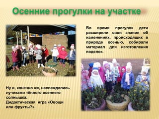Осенние прогулки на участке 
Во время прогулок дети 
расширяли свои знания об 
изменениях, происходящих в 
природе осенью, собирали 
материал для изготовления 
поделок. 
Ну и, конечно же, наслаждались 
лучиками тёплого осеннего 
солнышка. 
Дидактическая игра «Овощи 
или фрукты?». 
 