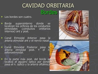 CAVIDAD ORBITARIA  Bordes Los bordes son cuatro. Borde superointerno donde se localizan los orificios de los conductos etmoidales (conductos orbitarios internos) ant y post. Canal Etmoidal Anterior pasa la arteria etmoidal ant y el nervio nasal. Canal Etmoidal Posterior pasa la arteria etmoidal post. Y el n. esfenoetmoidal. En la parte más post. del borde se localiza el agujero óptico por donde pasa el n. óptico y la arteria oftálmica 