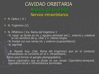CAVIDAD ORBITARIA   Anexos de la orbita Nervios intraorbitarios N. Optico ( II ) N. Trigémino (V): N. Oftálmico ( Ira. Rama del trigémino ): - N. nasal  se divide en int. ( agujero etmoidal ant.) , externo y colateral  la raíz sensitiva del g. ciliar y n. ciliares largos. - N. frontal con sus ramas int. y externa (supraorbitario) - N. lagrimal N. Maxilar Sup. (2da. Rama del trigémino) que en el conducto infraorbitario se convierte en el n. infraorbitario. Ramo para formar el ganglio pterigopalatino,  Ramo cigomatico que se divide en sus ramas: Cigomatico-temporal, cigomatico-facial e infraorbitarios terminales  