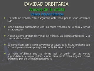 CAVIDAD ORBITARIA   Anexos de la orbita Vasos intraorbitarios El sistema venoso está asegurado ante todo por la vena oftálmica sup. Tiene amplias anastomosis con las redes venosas de la cara y senos intracraneales. A este sistema drenan las venas del vórtice, las ciliares anteriores  y la central de la retina. Se comunican con el seno cavernoso a través de la fisura orbitaria sup y con el plexo venoso pterigoides por la fisura orbitaria inf. La vena oftálmica sup se forma por la unión de las venas supraorbitaria y supratroclear y una rama de la vena angular. Estas drenan la piel de la región periorbitaria. 