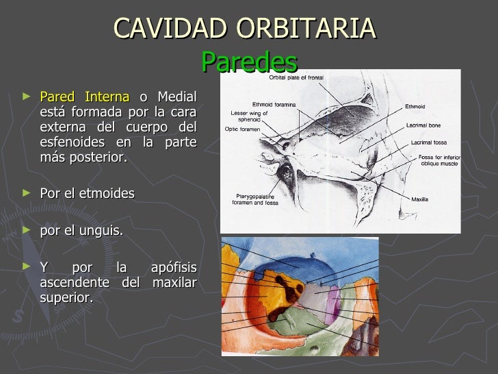( I ) 3 orbita y