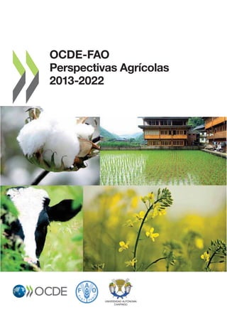 OCDE-FAO
Perspectivas Agrícolas
2013-2022
UNIVERSIDAD AUTÓNOMA
CHAPINGO
 