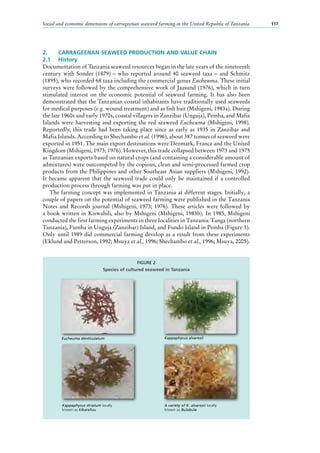 Social and economic dimensions of carrageenan seaweed farming in the United Republic of Tanzania 117
2.	 CARRAGEENAN SEAWEED PRODUCTION AND VALUE CHAIN
2.1	 History
Documentation of Tanzania seaweed resources began in the late years of the nineteenth
century with Sonder (1879) – who reported around 40 seaweed taxa – and Schmitz
(1895), who recorded 68 taxa including the commercial genus Eucheuma. These initial
surveys were followed by the comprehensive work of Jaasund (1976), which in turn
stimulated interest on the economic potential of seaweed farming. It has also been
demonstrated that the Tanzanian coastal inhabitants have traditionally used seaweeds
for medical purposes (e.g. wound treatment) and as fish bait (Mshigeni, 1983a). During
the late 1960s and early 1970s, coastal villagers in Zanzibar (Unguja), Pemba, and Mafia
Islands were harvesting and exporting the red seaweed Eucheuma (Mshigeni, 1998).
Reportedly, this trade had been taking place since as early as 1935 in Zanzibar and
Mafia Islands. According to Shechambo et al. (1996), about 387 tonnes of seaweed were
exported in 1951. The main export destinations were Denmark, France and the United
Kingdom (Mshigeni, 1973; 1976). However, this trade collapsed between 1973 and 1975
as Tanzanian exports based on natural crops (and containing a considerable amount of
admixtures) were outcompeted by the copious, clean and semi-processed farmed crop
products from the Philippines and other Southeast Asian suppliers (Mshigeni, 1992).
It became apparent that the seaweed trade could only be maintained if a controlled
production process through farming was put in place.
The farming concept was implemented in Tanzania at different stages. Initially, a
couple of papers on the potential of seaweed farming were published in the Tanzania
Notes and Records journal (Mshigeni, 1973; 1976). These articles were followed by
a book written in Kiswahili, also by Mshigeni (Mshigeni, 1983b). In 1985, Mshigeni
conducted the first farming experiments in three localities in Tanzania: Tanga (northern
Tanzania), Fumba in Unguja (Zanzibar) Island, and Fundo Island in Pemba (Figure 1).
Only until 1989 did commercial farming develop as a result from these experiments
(Eklund and Petterson, 1992; Msuya et al., 1996; Shechambo et al., 1996; Msuya, 2005).
FIGURE 2
Species of cultured seaweed in Tanzania
Eucheuma denticulatum
Kappaphycus striatum locally
known as kikarafuu
A variety of K. alvarezii locally
known as Bulabula
Kappaphycus alvarezii
 