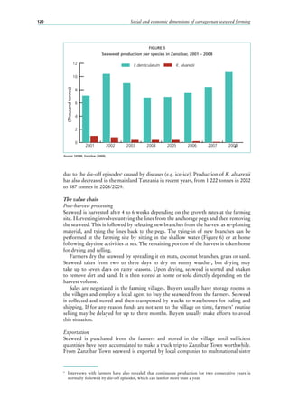 Social and economic dimensions of carrageenan seaweed farming120
due to the die-off episodes4
caused by diseases (e.g. ice-ice). Production of K. alvarezii
has also decreased in the mainland Tanzania in recent years, from 1 222 tonnes in 2002
to 887 tonnes in 2008/2009.
The value chain
Post-harvest processing
Seaweed is harvested after 4 to 6 weeks depending on the growth rates at the farming
site. Harvesting involves untying the lines from the anchorage pegs and then removing
the seaweed. This is followed by selecting new branches from the harvest as re-planting
material, and tying the lines back to the pegs. The tying-in of new branches can be
performed at the farming site by sitting in the shallow water (Figure 6) or at home
following daytime activities at sea. The remaining portion of the harvest is taken home
for drying and selling.
Farmers dry the seaweed by spreading it on mats, coconut branches, grass or sand.
Seaweed takes from two to three days to dry on sunny weather, but drying may
take up to seven days on rainy seasons. Upon drying, seaweed is sorted and shaken
to remove dirt and sand. It is then stored at home or sold directly depending on the
harvest volume.
Sales are negotiated in the farming villages. Buyers usually have storage rooms in
the villages and employ a local agent to buy the seaweed from the farmers. Seaweed
is collected and stored and then transported by trucks to warehouses for baling and
shipping. If for any reason funds are not sent to the village on time, farmers’ routine
selling may be delayed for up to three months. Buyers usually make efforts to avoid
this situation.
Exportation
Seaweed is purchased from the farmers and stored in the village until sufficient
quantities have been accumulated to make a truck trip to Zanzibar Town worthwhile.
From Zanzibar Town seaweed is exported by local companies to multinational sister
4
	 Interviews with farmers have also revealed that continuous production for two consecutive years is
normally followed by die-off episodes, which can last for more than a year.
FIGURE 5
Seaweed production per species in Zanzibar, 2001 – 2008
Source: DFMR, Zanzibar (2009).
0
2
4
6
8
10
12 K. alvareziiE.denticulatum
20082007200620052004200320022001
(Thousandtonnes)
 