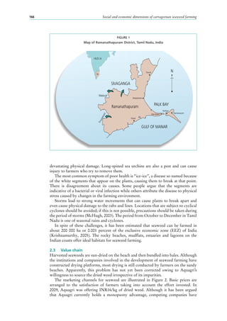 Social and economic dimensions of carrageenan seaweed farming166
devastating physical damage. Long-spined sea urchins are also a pest and can cause
injury to farmers who try to remove them.
The most common symptom of poor health is “ice-ice”, a disease so named because
of the white segments that appear on the plants, causing them to break at that point.
There is disagreement about its causes. Some people argue that the segments are
indicative of a bacterial or viral infection while others attribute the disease to physical
stress caused by changes in the farming environment.
Storms lead to strong water movements that can cause plants to break apart and
even cause physical damage to the rafts and lines. Locations that are subject to cyclical
cyclones should be avoided; if this is not possible, precautions should be taken during
the period of storms (McHugh, 2003). The period from October to December in Tamil
Nadu is one of seasonal rains and cyclones.
In spite of these challenges, it has been estimated that seaweed can be farmed in
about 200  000  ha or 0.001  percent of the exclusive economic zone (EEZ) of India
(Krishnamurthy, 2005). The rocky beaches, mudflats, estuaries and lagoons on the
Indian coasts offer ideal habitats for seaweed farming.
2.3	 Value chain
Harvested seaweeds are sun-dried on the beach and then bundled into bales. Although
the institutions and companies involved in the development of seaweed farming have
constructed drying platforms, most drying is still conducted by farmers on the sandy
beaches. Apparently, this problem has not yet been corrected owing to Aquagri’s
willingness to source the dried weed irrespective of its impurities.
The marketing channels for seaweed are illustrated in Figure  2. Basic prices are
arranged to the satisfaction of farmers taking into account the effort invested. In
2009, Aquagri was offering INR16/kg of dried weed. Although it has been argued
that Aquagri currently holds a monopsony advantage, competing companies have
SIVAGANGA
Madural
I N D I A
Tirunelveli
Thondi
Kilarai
Mandapam
Pamban
Rameswaram
Devipatinam
Ramanathapuram
GULF OF MANAR
PALK BAY
N
TN
FIGURE 1
Map of Ramanathapuram District, Tamil Nadu, India
 