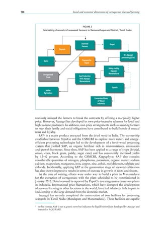 Social and economic dimensions of carrageenan seaweed farming168
routinely induced the farmers to break the contracts by offering a marginally higher
price. However, Aquagri has developed its own price-incentive schemes for loyal and
high-volume producers. In addition, non-price arrangements such as assisting farmers
to meet their family and social obligations have contributed to build bonds of mutual
trust and loyalty.
SAP3
is a major product extracted from the dried weed in India. The partnership
established between PepsiCo and the CSMCRI to explore more water- and energy-
efficient processing technologies led to the development of a fresh-weed processing
system that yielded SAP, an organic fertilizer rich in micronutrients, aminoacids
and growth hormones. Since then, SAP has been applied to a range of crops (brinjal,
onion, corn, black gram, paddy, sugar cane) and has consistently increased yields
by 12–40  percent. According to the CSMCRI, Kappaphycus SAP also contains
considerable quantities of nitrogen, phosphorus, potassium, organic matter, sodium
calcium, magnesium, manganese, iron, copper, zinc, cobalt, molybdenum, sulphate and
chloride. Incidentally, applying SAP at the germination stage of seaweed cultivation
has also shown impressive results in terms of increase in growth of roots and shoots.
At the time of writing, efforts were under way to build a plant in Manamadurai
for the extraction of carrageenan; with the plant scheduled to be commissioned in
January 2010. Dried seaweed is exported by PepsiCo to carrageenan conversion plants
in Indonesia. International price fluctuations, which have disrupted the development
of seaweed farming in other locations in the world, have had relatively little impact in
India owing to the large demand from the domestic market.
Aquagri has recently completed the construction of two facilities for processing
seaweeds in Tamil Nadu (Mandapam and Manamadurai). These facilities are capable
3
	 In this context, SAP is not a generic term but indicates the liquid biofertilizer developed by Aquagri and
branded as AQUASAP.
FIGURE 2
Marketing channels of seaweed farmers in Ramanathapuram District, Tamil Nadu
Payouts
Banks
Unorganized
Trade
Indian
Agriculture
Seaweed
Farmers
Payment for
Ouput
Ouput
Baling Facility
Aquagri,
Manamadurai
Exports
Conversion Plants
of“Mars”,
Indonesia
M/s Aquagri
processing (p) ltd.
Sap Production
Unit, Aquagri,
Manamadurai
 