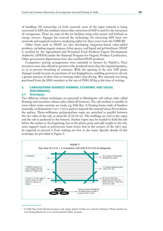 Social and economic dimensions of carrageenan seaweed farming in India 169
4’ diagonal
3 MM PP rope bit of
4.5m lengths with 20
plants of 150gm each
10 mm or 12 mm rope to
tie the cluster of rafts
with iron anchor or
stones
15 cm gap is maintained
between the ropes
12’ hallow bamboo piece
with 9-10” dia.
All the corners and
diagonals are tied with
6mm rope bits - there are
12 ties in a raft
Anchor stones of 50-60 kg
of weight each to hold a
cluster of 10-15 rafts
FIGURE 3
Top view of a 3 m × 3 m bamboo raft with 4 ft (1.22 m) diagonals
of handling 150  tonnes/day of fresh seaweed; most of the input material is being
converted to SAP; the residual content after extraction of SAP is used for the extraction
of carrageenan. These are state-of-the-art facilities using solar power and biofuels as
energy sources. Aquagri has sourced the technology for extracting SAP from wet
seaweeds and acquired exclusive marketing rights for three years from the CSMCRI.
Other firms such as SNAP are also developing Sargassum-based value-added
products, including organic manure, foliar sprays, and liquid and gel fertilizers. SNAP
is certified by the Agricultural and Processed Food Products Export Development
Authority (APEDA) under the National Program for Organic Produce Certification.
Other government departments have also certified SNAP products.
Competitive pricing arrangements were extended to farmers by PepsiCo. Price
incentives were also offered to growers who produced more than the targeted quantity,
so as to prevent breaching of contracts. With the opening of the new SAP plant,
Aquagri would increase its purchases of wet Kappaphycus, enabling growers to devote
a greater portion of their time to farming rather than drying. Wet seaweed was being
purchased from the SHG members at the rate of INR1.50/kg at the time of writing.
3.	 CARRAGEENAN SEAWEED FARMING: ECONOMIC AND SOCIAL
	PERFORMANCE
3.1	 Techniques
Two different culture techniques are practised in Mandapam: raft culture (also called
floating) and monoline culture (also called off-bottom). The raft method is suitable in
areas where water currents are weak, e.g. Palk Bay. A floating frame made of bamboo
(normally of dimensions 3 m × 3 m) is used to suspend the seaweed about 50 cm below
the surface. Three-millimetre polypropylene ropes are stretched in parallel between
the two sides of the raft, at intervals of 10–15 cm. The seedlings are tied to the ropes
and the raft is anchored to the bottom. Anchor ropes may be needed to hold the raft
below the surface at the beginning, but as the plants grow and add weight to the raft,
extra support (such as polystyrene foam boxes tied to the corners of the raft4
) may
be required to prevent it from sinking too low in the water. Specific details of this
technique are provided in Figure 3.
4
	 In Palk Bay, both thermocol pieces and empty plastic bottles are used for flotation. Plastic bottles are
now being phased out as an environmental safety measure.
 