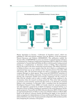 Social and economic dimensions of carrageenan seaweed farming190
Marine Agriculture in Yucatan  – Cultivation of Gracilaria cornea”, which was
published in 1999 with financial assistance from the Ministry of the Environment,
Natural Resources and Fisheries (SEMARNAP). This publication enabled the
Yucatan office of SEMARNAP to convey its interest in seaweed farming techniques
by proposing two Temporary Employment Programmes (PET) in 2000 in two coastal
communities in Yucatan (Sisal and Dzilam de Bravo) with the goal of testing seaweed
farming as a complementary or alternative activity to fishing. These programmes
built on the results of the above-mentioned research projects. The fishing community
in Dzilam de Bravo was more receptive than the one in Sisal; as a consequence, an
experimental farm was set up in Dzilam to farm Gracilaria between November 2000
and January 2001. The harvested seaweed was sold to a European agar processing
company (Iberagar) to obtain agarose. These events led CINVESTAV researchers to
work jointly with the fishing community. Going beyond the promotion of seaweed
farming, this cooperation entailed socio-economic engagement and the creation of
links with the scientific work in order to enable improved living conditions in the
communities where the research was being carried out. These closer links generated
an interest in socio-economic research into this activity as an alternative to artisanal
fishing in this community. In December 1999, a consultant from the International
Development Research Center (IDRC) of Canada visited the seaweed production
unit and supported a proposal for in-depth investigation of seaweed farming as an
alternative activity to fishing, including an assessment of the social dimensions and the
gender perspective. Financed by the Public Education Secretary (SEP), 33 fishers set up
an experimental pilot farm of 3 000 m2
on the coast of Dzilam de Bravo in March 2002,
based on the species K. alvarezii, thereby diversifying the supply of raw material to
obtain carrageenan for industrialization in France and Denmark. However, Hurricane
Isidore lashed the coasts of the Yucatan peninsula in September 2002 and destroyed the
farm, hampering the continuity of the project.
FIGURE 3
The developmental process of seaweed farming in Yucatan, Mexico
STAGE I STAGE II STAGE III
Technoguide Marine
Agronomy of Yucatán
Experimental farm
2002 (SEP)
Isidoro Hurricane
Prospective work in
commercial species
–Dzilam ﬁshermen
(transit and
expectations)
Experimental culture
(CONABIO)
1994 -1998 2000 - 2002 2010
J
U
N
C
T
U
R
E
J
U
N
C
T
U
R
E
Mariculture programme
(SEMARNAT) – PET – IDRC
POTENTIAL
 
