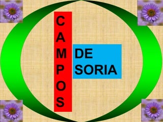 C 
A 
M 
P 
O 
S 
DE 
SORIA 
 