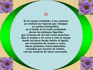 III 
Es el campo ondulado, y los caminos 
ya ocultan los viajeros que cabalgan 
en pardos borriquillos, 
ya al fondo de la tarde arrebolada 
elevan las plebeyas figurillas 
que el lienzo de oro del ocaso manchan. 
Mas si trepáis a un cerro y veis el campo 
desde los picos donde habita el águila, 
son tornasoles de carmín y acero, 
llanos plomizos, lomas plateadas, 
circuidos por montes de violeta, 
con las cumbres de nieve sonrosada. 
 