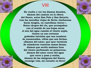 VIII 
He vuelto a ver los álamos dorados, 
álamos del camino en la ribera 
del Duero, entre San Polo y San Saturio, 
tras las murallas viejas de Soria—barbacana 
hacia Aragón, en castellana tierra—. 
Estos chopos del río, que acompañan 
con el sonido de sus hojas secas 
el son del agua cuando el viento sopla, 
tienen en sus cortezas 
grabadas iniciales que son nombres 
de enamorados, cifras que son fechas. 
¡Álamos del amor, que ayer tuvisteis 
de ruiseñores vuestras ramas llenas; 
álamos que seréis mañana liras 
del viento perfumado en primavera; 
álamos del amor cerca del agua 
que corre y pasa y sueña, 
álamos de las márgenes del Duero, 
conmigo vais, mi corazón os lleva! 
 