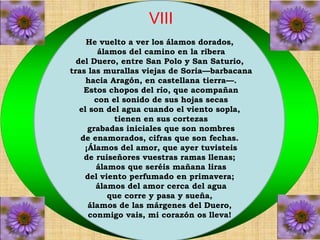 VIII 
He vuelto a ver los álamos dorados, 
álamos del camino en la ribera 
del Duero, entre San Polo y San Saturio, 
tras las murallas viejas de Soria—barbacana 
hacia Aragón, en castellana tierra—. 
Estos chopos del río, que acompañan 
con el sonido de sus hojas secas 
el son del agua cuando el viento sopla, 
tienen en sus cortezas 
grabadas iniciales que son nombres 
de enamorados, cifras que son fechas. 
¡Álamos del amor, que ayer tuvisteis 
de ruiseñores vuestras ramas llenas; 
álamos que seréis mañana liras 
del viento perfumado en primavera; 
álamos del amor cerca del agua 
que corre y pasa y sueña, 
álamos de las márgenes del Duero, 
conmigo vais, mi corazón os lleva! 
 
