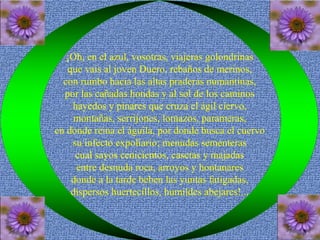 ¡Oh, en el azul, vosotras, viajeras golondrinas 
que vais al joven Duero, rebaños de merinos, 
con rumbo hacia las altas praderas numantinas, 
por las cañadas hondas y al sol de los caminos 
hayedos y pinares que cruza el ágil ciervo, 
montañas, serrijones, lomazos, parameras, 
en donde reina el águila, por donde busca el cuervo 
su infecto expoliario; menudas sementeras 
cual sayos cenicientos, casetas y majadas 
entre desnuda roca, arroyos y hontanares 
donde a la tarde beben las yuntas fatigadas, 
dispersos huertecillos, humildes abejares!... 
 
