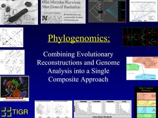 TIGRTIGR
Phylogenomics:
Combining Evolutionary
Reconstructions and Genome
Analysis into a Single
Composite Approach
0
2500...