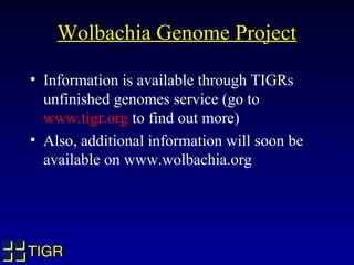 TIGRTIGR
Wolbachia Genome Project
• Information is available through TIGRs
unfinished genomes service (go to
www.tigr.org ...