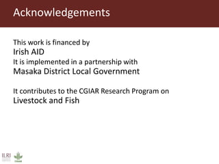 Gender equitable pig business hubs in Uganda 