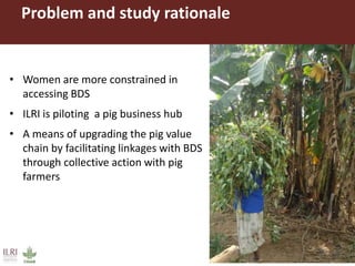 Gender equitable pig business hubs in Uganda 