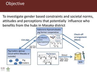 Gender equitable pig business hubs in Uganda 