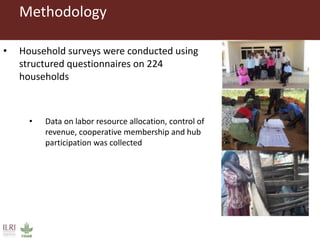 Gender equitable pig business hubs in Uganda 