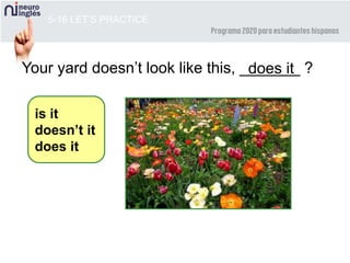 5-16 LET’S PRACTICE
Your yard doesn’t look like this, _______ ?
is it
doesn’t it
does it
does it
 