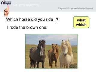 5-8 LET’S PRACTICE
what
which
_____________________?
I rode the brown one.
Which horse did you ride
 