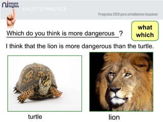 ____________________________?Which do you think is more dangerous
5-8 LET’S PRACTICE
what
which
I think that the lion is more dangerous than the turtle.
turtle lion
 