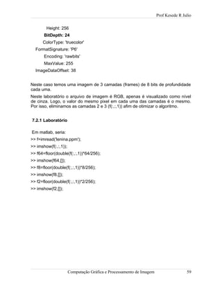Prof Kesede R Julio
Height: 256
BitDepth: 24
ColorType: 'truecolor'
FormatSignature: 'P6'
Encoding: 'rawbits'
MaxValue: 255
ImageDataOffset: 38
Neste caso temos uma imagem de 3 camadas (frames) de 8 bits de profundidade
cada uma.
Neste laboratório o arquivo de imagem é RGB, apenas é visualizado como nível
de cinza. Logo, o valor do mesmo pixel em cada uma das camadas é o mesmo.
Por isso, eliminamos as camadas 2 e 3 (f(:,:,1)) afim de otimizar o algoritmo.
7.2.1 Laboratório
Em matlab, seria:
>> f=imread('lenina.ppm');
>> imshow(f(:,:,1));
>> f64=floor(double(f(:,:,1))*64/256);
>> imshow(f64,[]);
>> f8=floor(double(f(:,:,1))*8/256);
>> imshow(f8,[]);
>> f2=floor(double(f(:,:,1))*2/256);
>> imshow(f2,[]);
Computação Gráfica e Processamento de Imagem 59
 