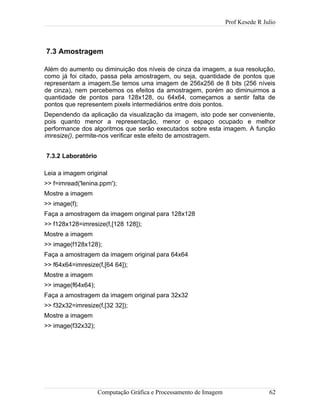 Prof Kesede R Julio
7.3 Amostragem
Além do aumento ou diminuição dos níveis de cinza da imagem, a sua resolução,
como já foi citado, passa pela amostragem, ou seja, quantidade de pontos que
representam a imagem.Se temos uma imagem de 256x256 de 8 bits (256 níveis
de cinza), nem percebemos os efeitos da amostragem, porém ao diminuirmos a
quantidade de pontos para 128x128, ou 64x64, começamos a sentir falta de
pontos que representem pixels intermediários entre dois pontos.
Dependendo da aplicação da visualização da imagem, isto pode ser conveniente,
pois quanto menor a representação, menor o espaço ocupado e melhor
performance dos algoritmos que serão executados sobre esta imagem. A função
imresize(), permite-nos verificar este efeito de amostragem.
7.3.2 Laboratório
Leia a imagem original
>> f=imread('lenina.ppm');
Mostre a imagem
>> image(f);
Faça a amostragem da imagem original para 128x128
>> f128x128=imresize(f,[128 128]);
Mostre a imagem
>> image(f128x128);
Faça a amostragem da imagem original para 64x64
>> f64x64=imresize(f,[64 64]);
Mostre a imagem
>> image(f64x64);
Faça a amostragem da imagem original para 32x32
>> f32x32=imresize(f,[32 32]);
Mostre a imagem
>> image(f32x32);
Computação Gráfica e Processamento de Imagem 62
 