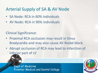 Arterial Supply of SA & AV Node
• SA Node: RCA in 60% individuals
• AV Node: RCA in 90% individuals
Clinical Significance:
• Proximal RCA occlusion may result in Sinus
Bradycardia and may also cause AV Nodal block
• Abrupt occlusion of RCA may lead to infarction of
inferior part of LV
Dept of Medicine
Frontier Medical and Dental College
 