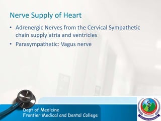 Nerve Supply of Heart
• Adrenergic Nerves from the Cervical Sympathetic
chain supply atria and ventricles
• Parasympathetic: Vagus nerve
Dept of Medicine
Frontier Medical and Dental College
 