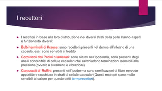 I cinque sensi | PPTX