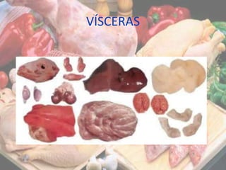 VÍSCERAS
 