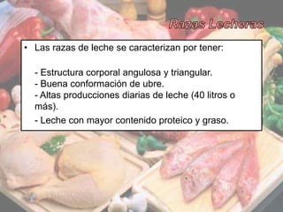 4
• Las razas de leche se caracterizan por tener:
- Estructura corporal angulosa y triangular.
- Buena conformación de ubre.
- Altas producciones diarias de leche (40 litros o
más).
- Leche con mayor contenido proteico y graso.
 