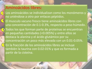 Aminoácidos libres:
Los aminoácidos se individualizan como los monómeros y
no uniéndose a otro por enlaces péptidos.
El musculo vacuno fresco tiene aminoácidos libres con
una concentración de 0.1-0.3%, respecto a peso húmedo.
Todos los que forman parte de proteínas se encuentran
en pequeñas cantidades (<0.005%) y entre ellos se
destaca la alanina y el ácido glutámico por su
concentración un poco más elevada con un 0.01-0.05%.
En la fracción de los aminoácidos libres se incluye
también la taurina con 0.02-01% y que es formada a
partir de la cisteína.
 