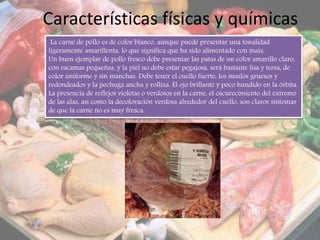 Características físicas y químicas
La carne de pollo es de color blanco, aunque puede presentar una tonalidad
ligeramente amarillenta, lo que significa que ha sido alimentado con maíz.
Un buen ejemplar de pollo fresco debe presentar las patas de un color amarillo claro,
con escamas pequeñas, y la piel no debe estar pegajosa, será bastante lisa y tersa, de
color uniforme y sin manchas. Debe tener el cuello fuerte, los muslos gruesos y
redondeados y la pechuga ancha y rolliza. El ojo brillante y poco hundido en la órbita.
La presencia de reflejos violetas o verdosos en la carne, el oscurecimiento del extremo
de las alas, así como la decoloración verdosa alrededor del cuello, son claros síntomas
de que la carne no es muy fresca.
 