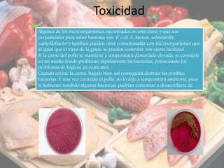 Toxicidad
Algunos de los microorganismos encontrados en esta carne y que son
perjudiciales para salud humana son: E. coli, S. Aureus, salmonella,
campilobacter y también pueden estar contaminadas con microorganismos que,
al igual que el virus de la gripe, se pueden controlar con cierta facilidad.
Si la carne del pollo se mantiene a temperatura demasiado elevada, se convierte
en un medio donde proliferan rápidamente las bacterias, potenciando los
problemas de higiene ya existentes.
Cuando cocine la carne, hágalo bien: así conseguirá destruir las posibles
bacterias. Y una vez cocinado el pollo, no lo deje a temperatura ambiente, pues
si hubieran resistido algunas bacterias, podrían comenzar a desarrollarse de
nuevo.
 