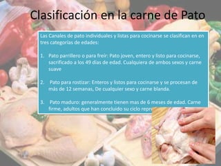 Clasificación en la carne de Pato
Las Canales de pato individuales y listas para cocinarse se clasifican en en
tres categorías de edades:
1. Pato parrillero o para freír: Pato joven, entero y listo para cocinarse,
sacrificado a los 49 días de edad. Cualquiera de ambos sexos y carne
suave
2. Pato para rostizar: Enteros y listos para cocinarse y se procesan de
más de 12 semanas, De cualquier sexo y carne blanda.
3. Pato maduro: generalmente tienen mas de 6 meses de edad. Carne
firme, adultos que han concluido su ciclo reproductivo.
 