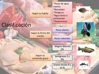Clasificación
Según su habita
Según la forma del
cuerpo
Según su
contenido graso
*Peces de agua
marina
*Benotidos
*Pelagicos
*Agua dulce o
continental
*Diadromicos
Grasos-Azules 8 y
15 %
Semigrasos 2 y
5%
Magros-Blancos
2%
Peces redondos
Peces planos
bacaloao
atún
trucha
gallo
 