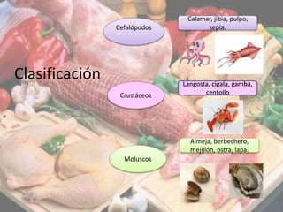 Clasificación
Cefalópodos
Crustáceos
Moluscos
Calamar, jibia, pulpo,
sepia.
Langosta, cigala, gamba,
centollo
Almeja, berbechero,
mejillón, ostra, lapa.
 