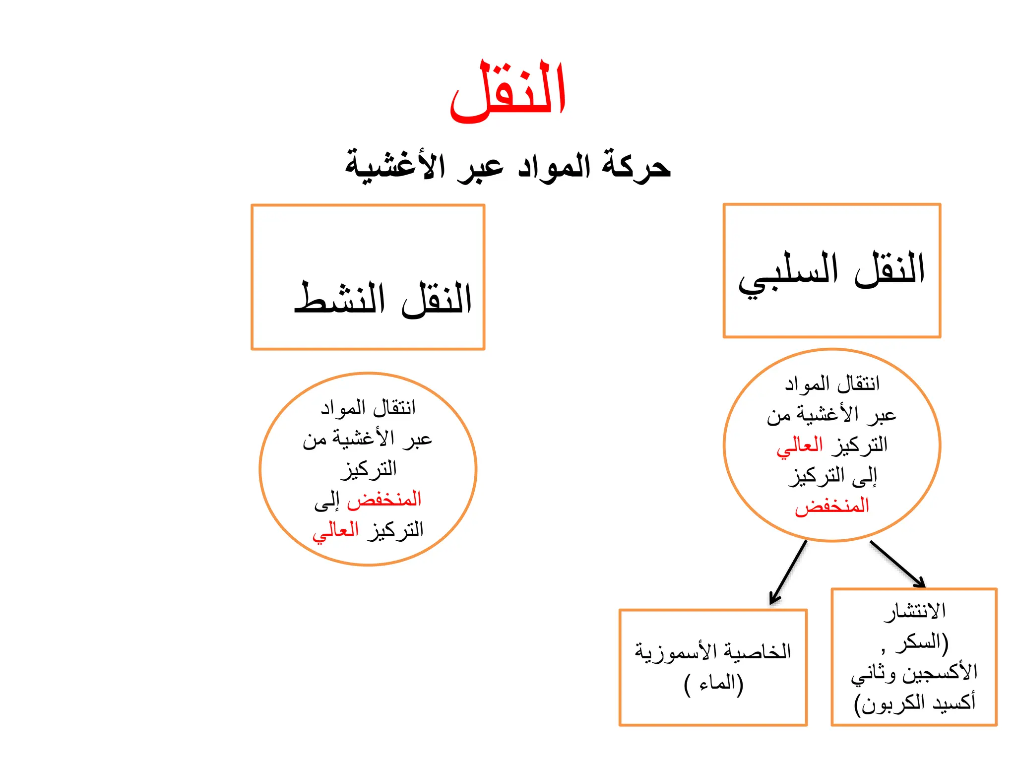 ‫النقل‬
‫األغشية‬ ‫عبر‬ ‫المواد‬ ‫حركة‬
‫السل‬ ‫النقل‬
‫بي‬
‫النشط‬ ‫النقل‬
‫المواد‬ ‫انتقال‬
‫من‬ ‫األغشية‬ ‫عبر‬
‫التركيز‬
‫العال‬
‫ي‬
‫التركيز‬ ‫إلى‬
‫المنخفض‬
‫المواد‬ ‫انتقال‬
‫من‬ ‫األغشية‬ ‫عبر‬
‫التركيز‬
‫المنخفض‬
‫إلى‬
‫التركيز‬
‫العال‬
‫ي‬
‫االنتشار‬
(
‫السكر‬
,
‫وثاني‬ ‫األكسجين‬
‫الكربون‬ ‫أكسيد‬
)
‫الخاصية‬
‫األسموزي‬
‫ة‬
(
‫الماء‬
)
 