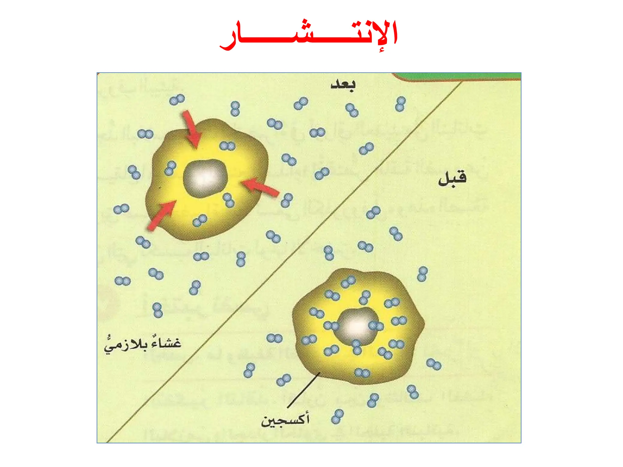 ‫اإلنتـــــشــــــار‬
 