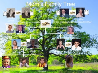 Mom's Family Tree
Ramon
Great
grandfather
Maria
Great grandmother
Antonio
Great grandfather
Rita
Great grandmother
Joan
Grandfather
Genoveva
Grandmother
Tomas
Uncle
Genoveva
Mother
Quim
Uncle
Pablo
Father
Eva
Aun
t
MeEric
Cousin
Mireia
Cousin
Alex
Cousin
 