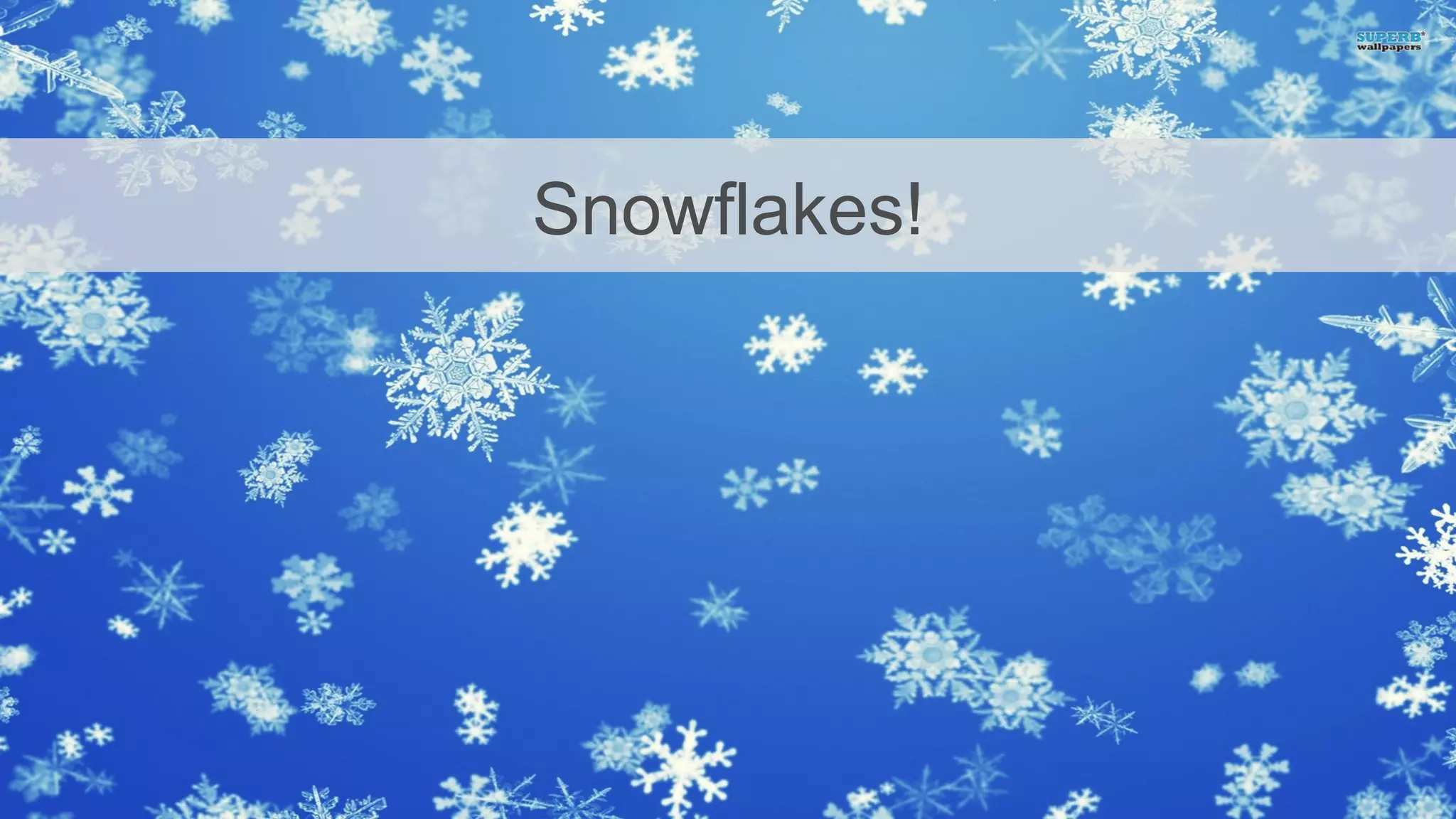 Snowflakes!
 