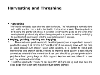 Harvesting and Threshing
• Harvesting
The crop is harvested soon after the seed is mature. The harvesting is normally done
with sickle and the crop is left in the field to dry for about a week. Threshing is done
by beating the plants with sticks. It is better to harvest the pods as and when they
reach physiological maturity without being delayed or exposed to wetting and drying
to maintain high germination with the least deterioration in storage.
• Drying, grading, treating and bagging
• Threshed seed produce should be dried properly on a tarpaulin in sun and
graded by using 9.52 mmR x 3.97 mmR or 3.18 mm oblong sieve with the help
of seed cleaner-cum-grader. Even after grading, it is better to hand pick
discoloured and broken seeds, if found to improve seed quality. Seeds having
a moisture content of not more than 9 per cent should be packed preferably in
polythene lined gunny bags or cloth bag and kept on wooden pallets in a cool
and dry ventilated seed store.
• Treat the seed with Thiram 75 per cent WP at 2 gm per kg and also dust the
seed bags with 5 per cent malathion dust before storage
 