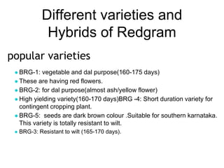 Different varieties and
Hybrids of Redgram
popular varieties
● BRG-1: vegetable and dal purpose(160-175 days)
● These are having red flowers.
● BRG-2: for dal purpose(almost ash/yellow flower)
● High yielding variety(160-170 days)BRG -4: Short duration variety for
contingent cropping plant.
● BRG-5: seeds are dark brown colour .Suitable for southern karnataka.
This variety is totally resistant to wilt.
● BRG-3: Resistant to wilt (165-170 days).
 