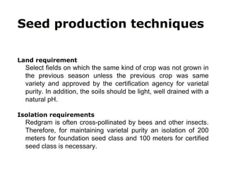 Seed production techniques
Land requirement
Select fields on which the same kind of crop was not grown in
the previous season unless the previous crop was same
variety and approved by the certification agency for varietal
purity. In addition, the soils should be light, well drained with a
natural pH.
Isolation requirements
Redgram is often cross-pollinated by bees and other insects.
Therefore, for maintaining varietal purity an isolation of 200
meters for foundation seed class and 100 meters for certified
seed class is necessary.
 