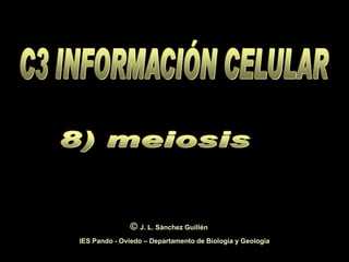 © J. L. Sánchez Guillén
IES Pando - Oviedo – Departamento de Biología y Geología
                                                           1
 