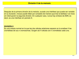 División II de la meiosis



Después de la primera división de la meiosis, sucede una interfase que puede ser variable
en su duración, incluso puede faltar por completo de manera que tras la telofase I se inicia
sin interrupción la segunda división. En cualquier caso, nunca hay síntesis de ADN; es
decir, es una interfase sin periodo S.



DIVISIÓN II
Es una mitosis normal en la que las dos células anteriores separan en la anafase II las
cromátidas de sus n cromosomas. Surgen así 4 células con n cromátidas cada una.




                                                                                          25
 